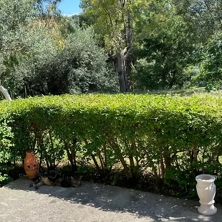 Maison d'hôtes Harmonia
